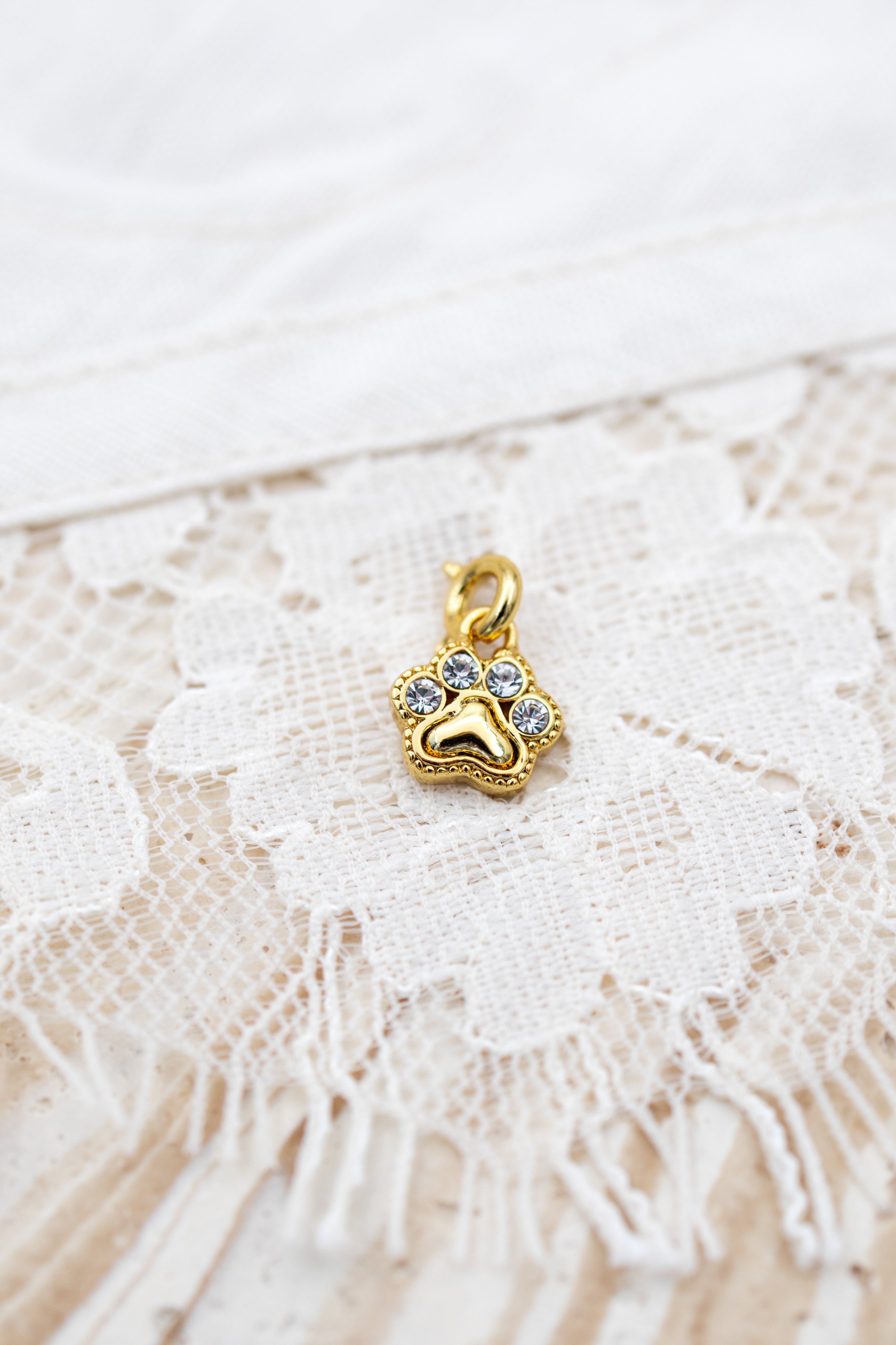 Fortuna Paw charm