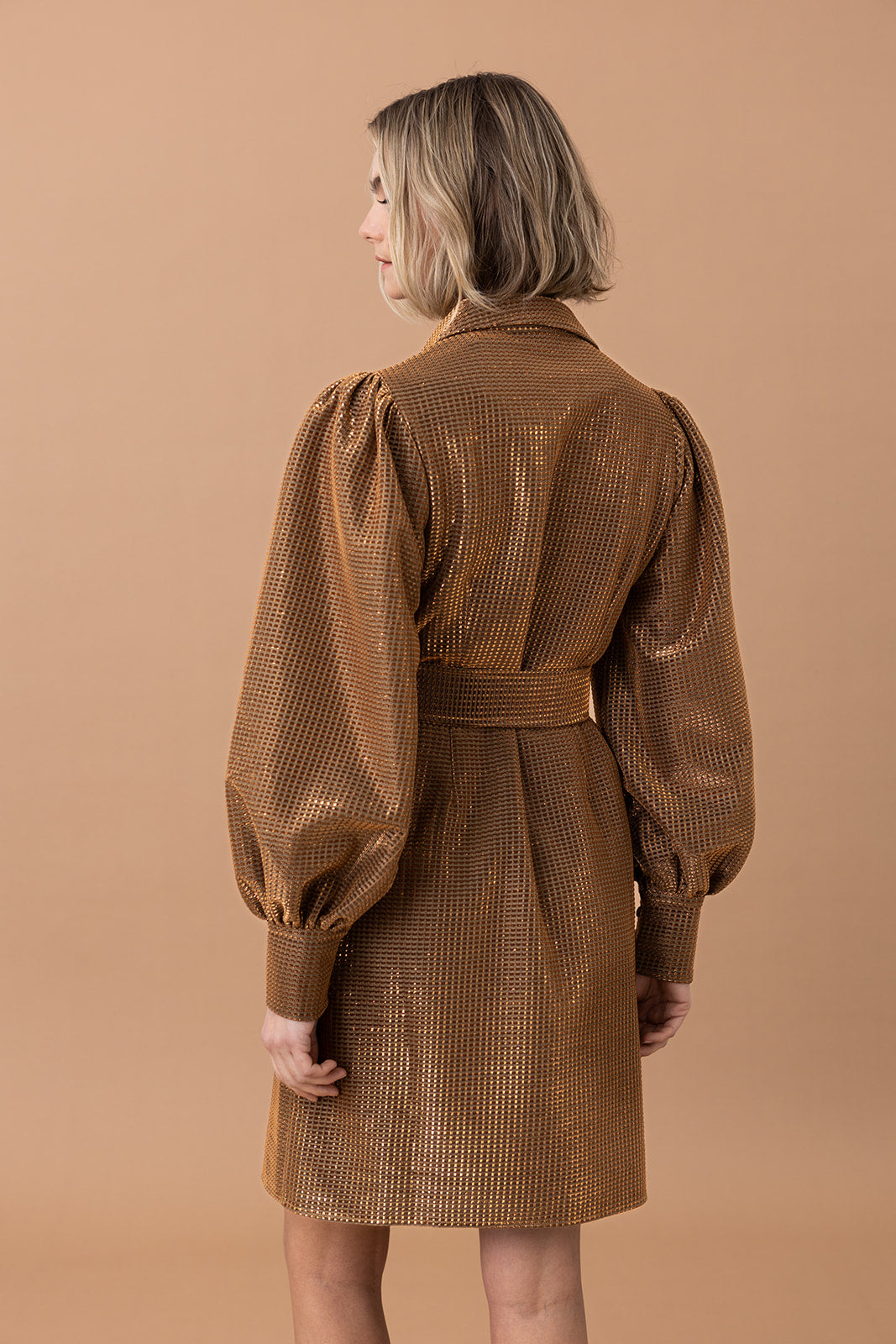 AW23 - Lory kjole brun