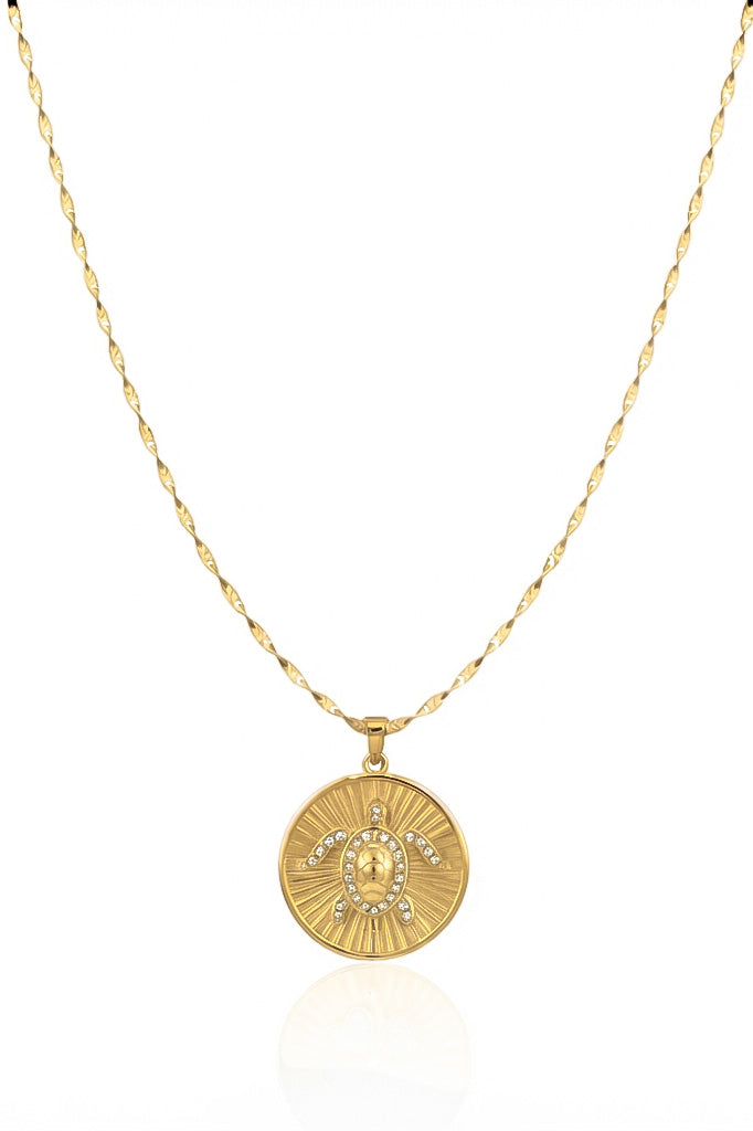 Secret Amulet Turtle