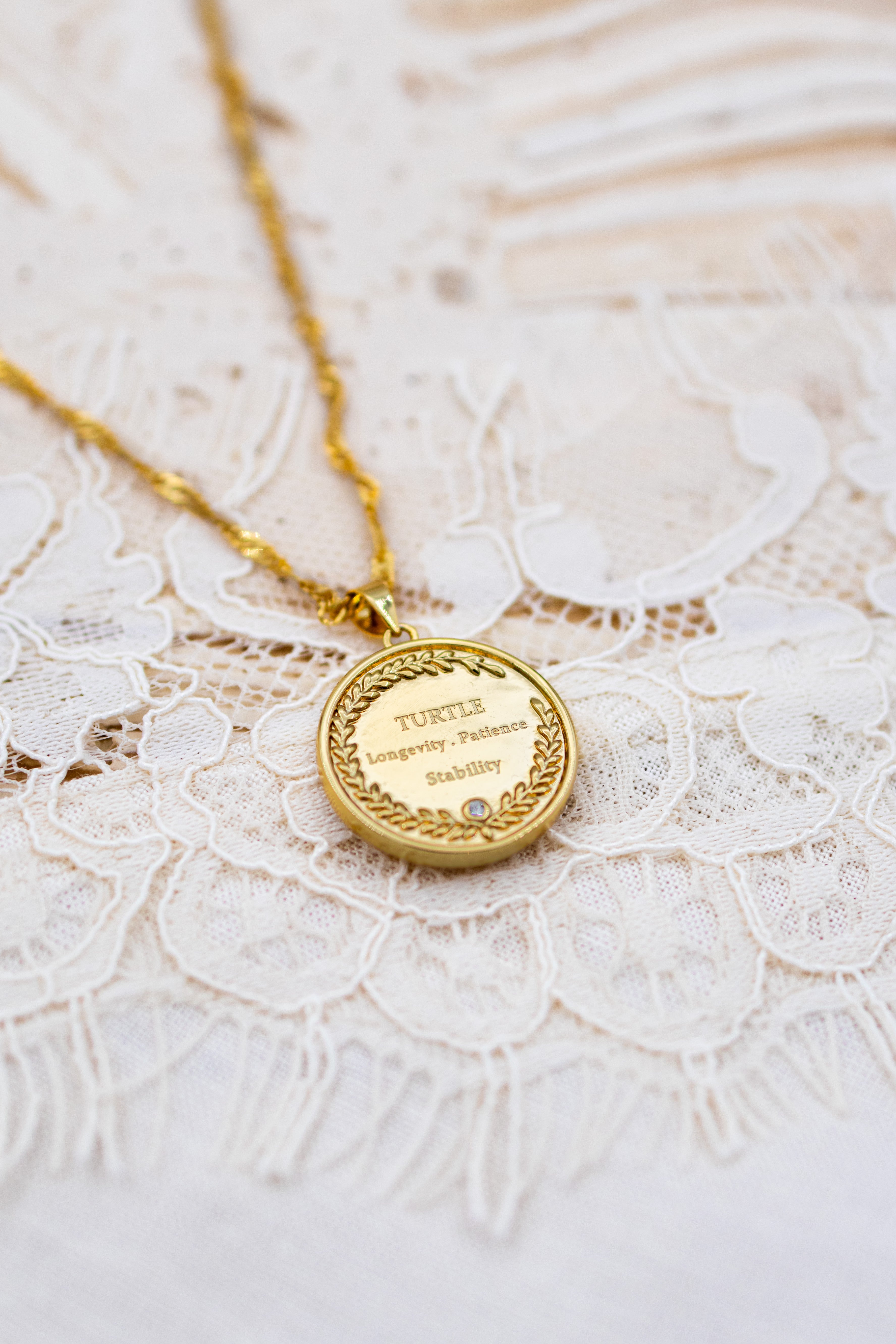 Secret Amulet Turtle