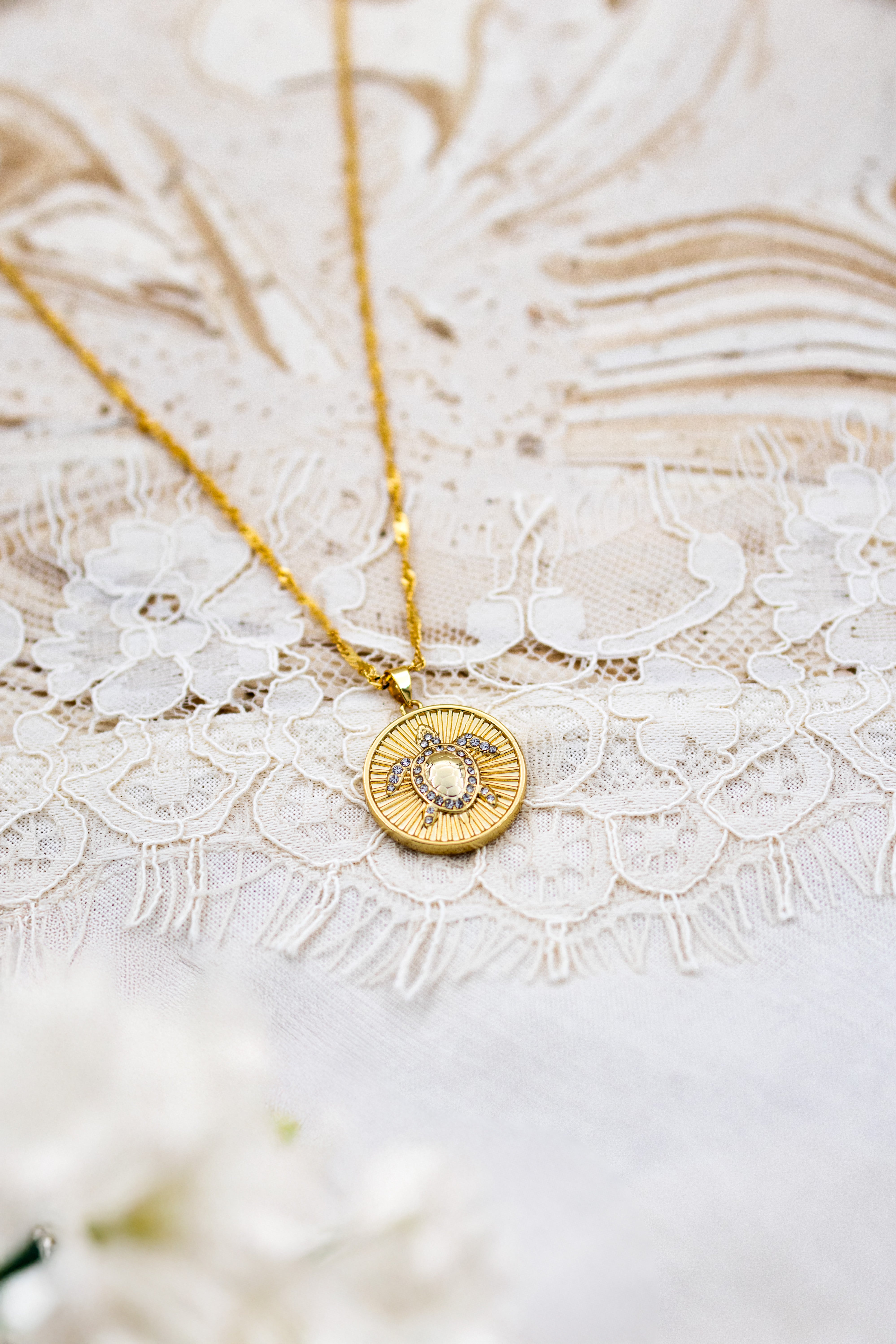 Secret Amulet Turtle