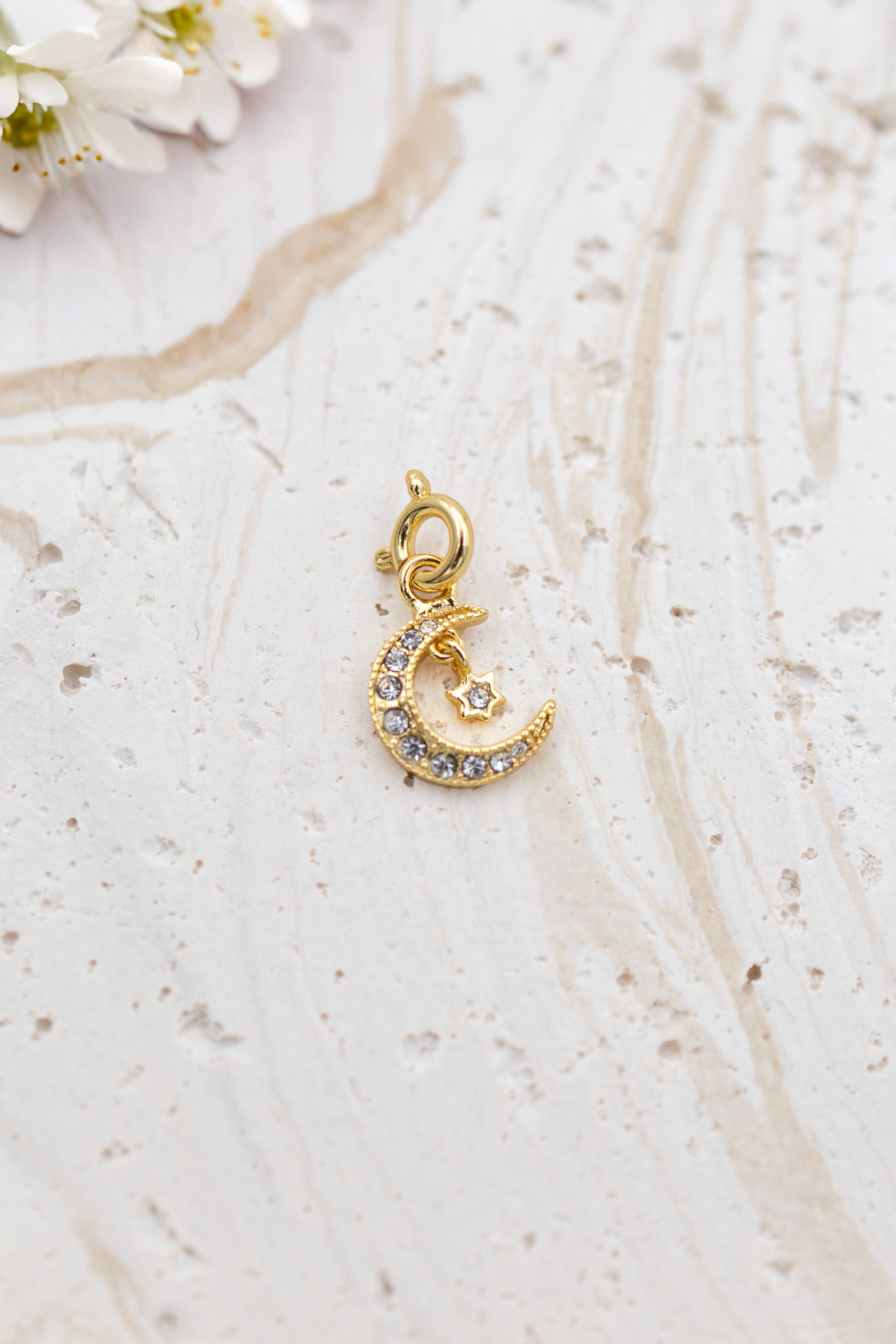 Fortuna Luna charm